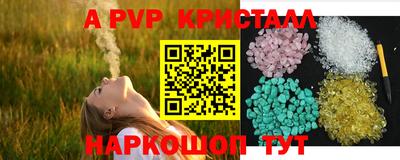 СК Анжеро-Судженск